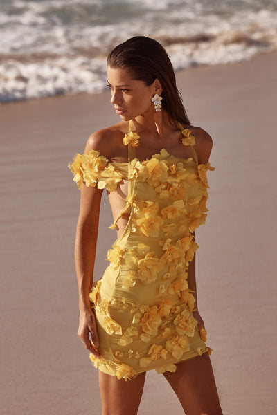 Ruby Dress Alamour The Label Ruby 3D Floral Mini Dress | Afterpay | Zip | Sezzle | LayBuy 
