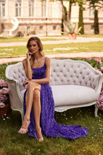 Alexis Purple Velvet Sequin Gown