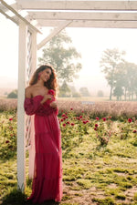 Aleeza Rosy Iridescent Mesh Maxi Dress Alamour the Label