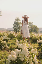 Zaina Lace Midi Dress with Sheer Sides