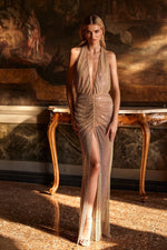 Zahara - Gold Glitter Mesh Gown with Deep Plunge Neckline