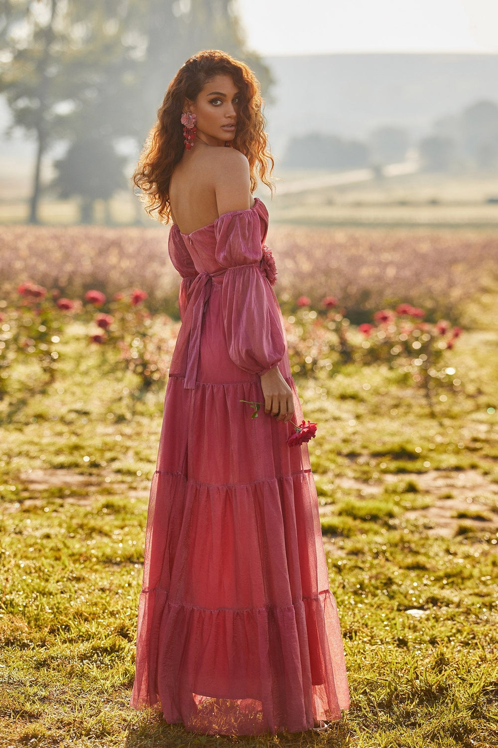 Aleeza Rosy Iridescent Mesh Maxi Dress
