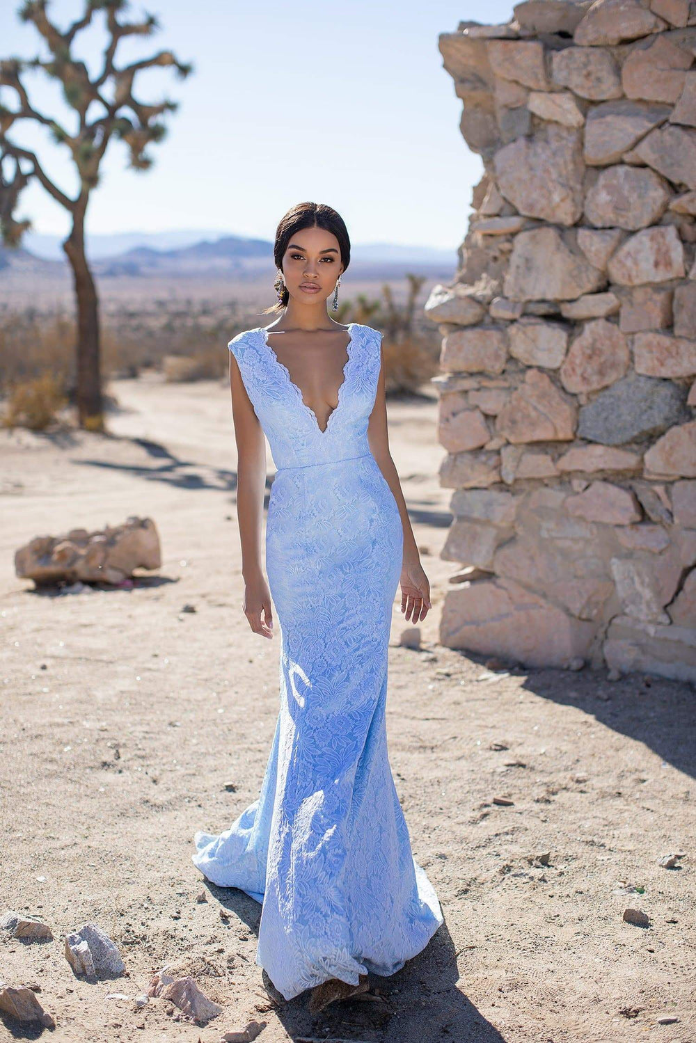 Ivy Lace Gown